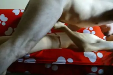 Bokep Indo ABG Bispak Jakarta Terekam ML Hotel Skandal Viral HD 2025